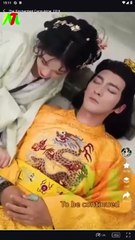 the silent concubine (2024)