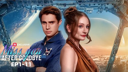 the moment after goodbye (2024)