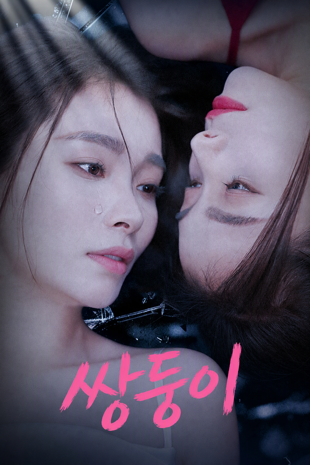 쌍둥이