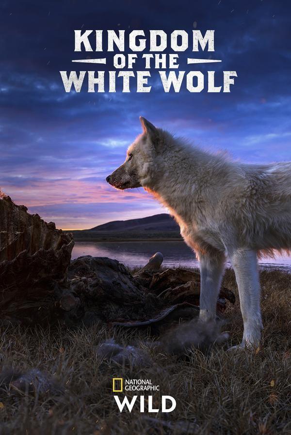 Kingdom of the White Wolf (2019)