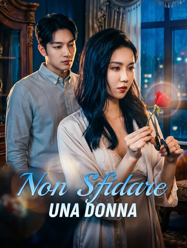 Non Sfidare una Donna