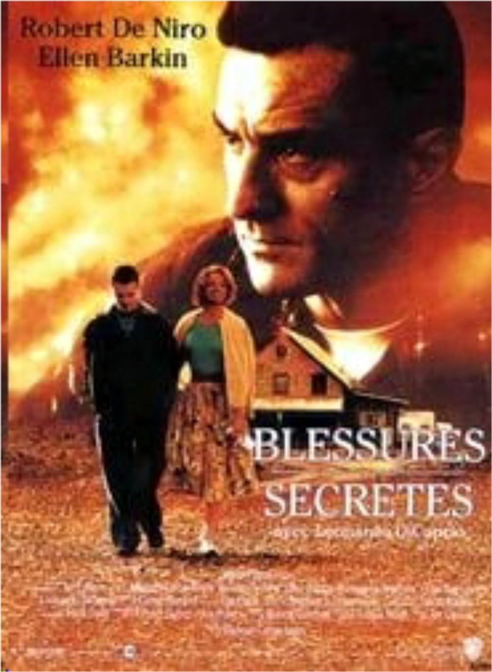 Blessures secrètes (1993)