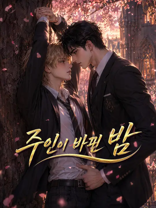 주인이 바뀐 밤