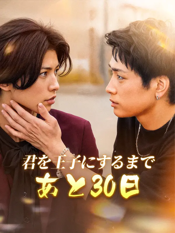 君を王子にするまであと30日