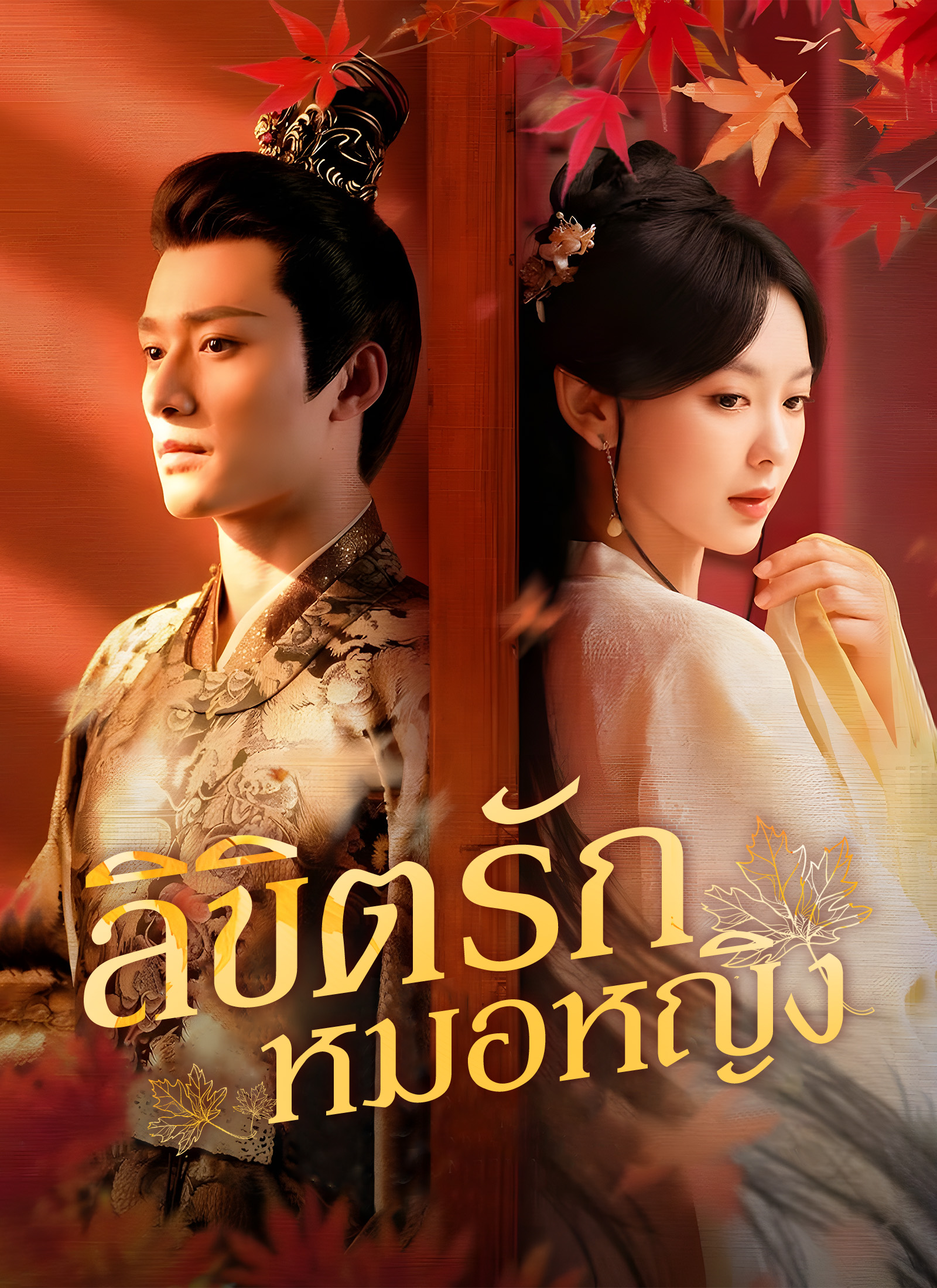ลิขิตรักหมอหญิง