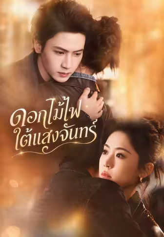 ดอกไม้ไฟใต้แสงจันทร์
