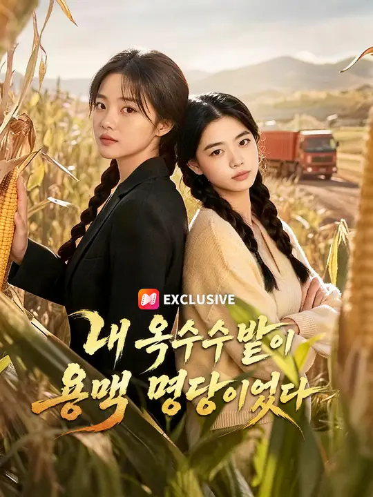 내 옥수수밭이 용맥 명당이었다