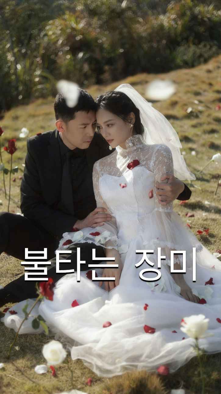 불타는 장미