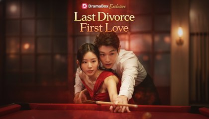 my last divorce my first love (2024)