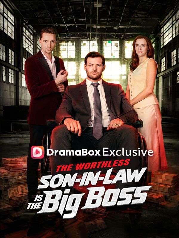The Worthless Son-in-Law Is The Big Boss