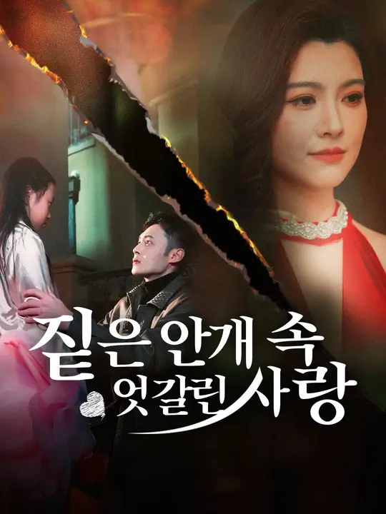 짙은 안개 속, 엇갈린 사랑