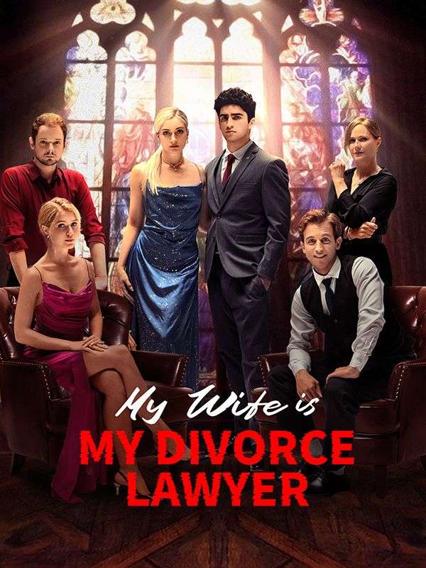 My Wife is My Divorce Lawyer (2024)