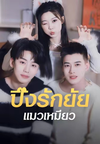 ปิ๊งรักยัยแมวเหมียว