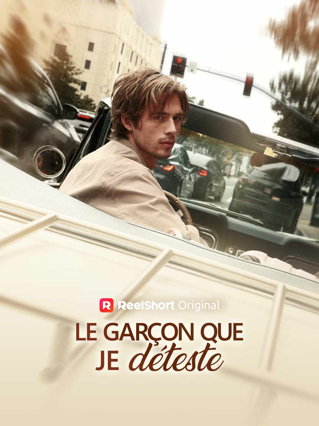 Le Garçon que je déteste