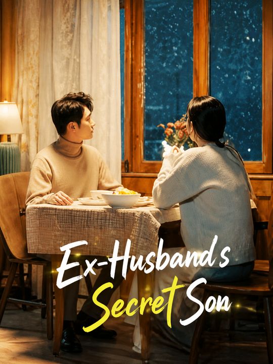 Ex-Husband's Secret Son