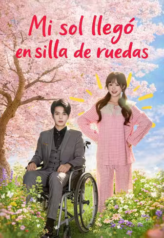Mi sol llegó en silla de ruedas