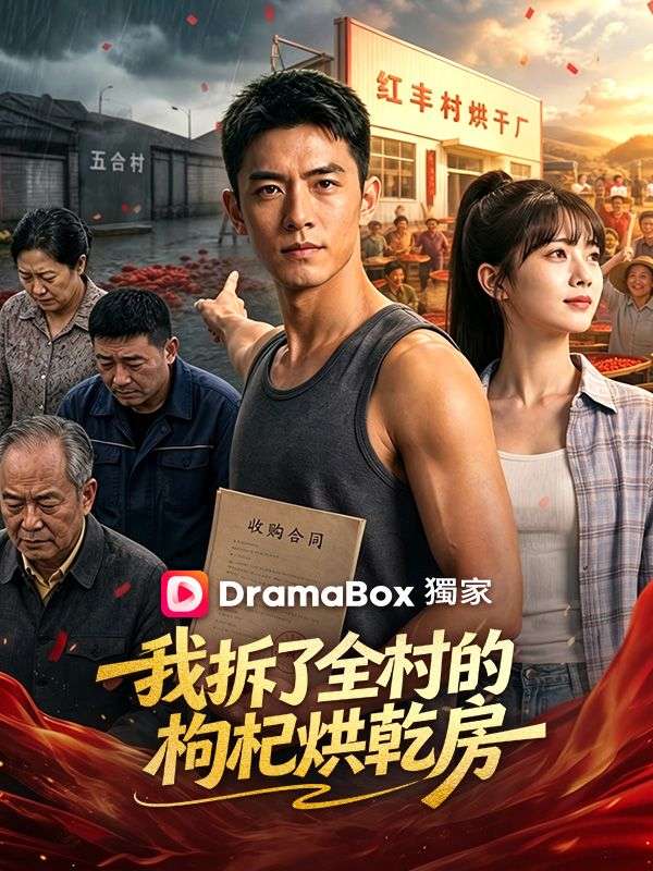 我拆了全村的枸杞烘乾房
