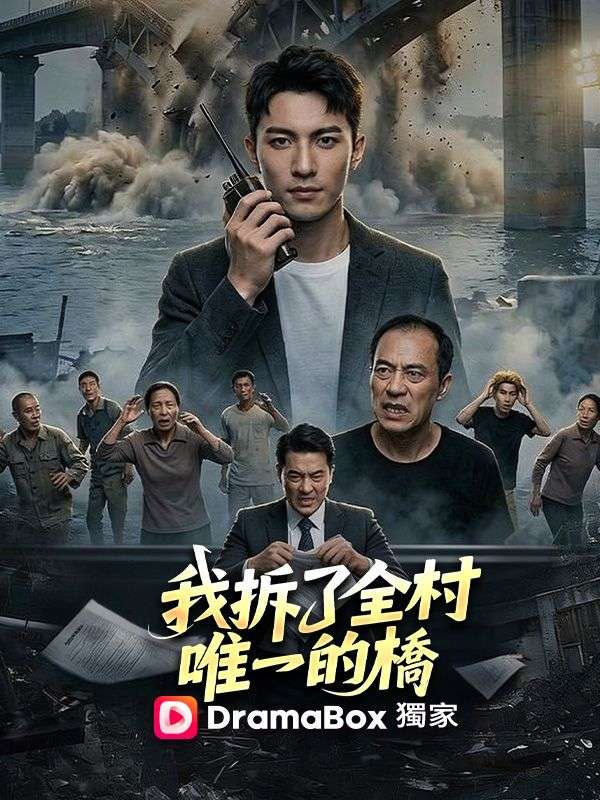 我拆了全村唯一的橋