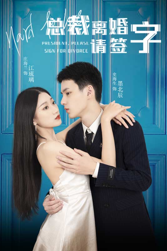 总裁离婚请签字