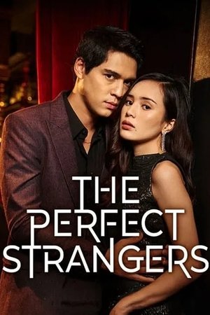 The Perfect Strangers (2024)