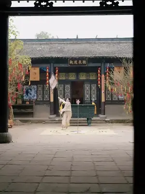 The CEO's Mystic Wife