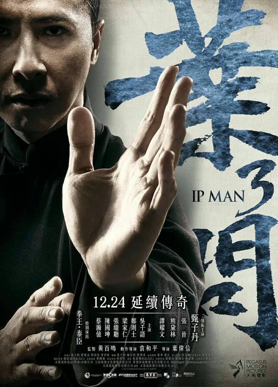 Ip Man 3 (2025)
