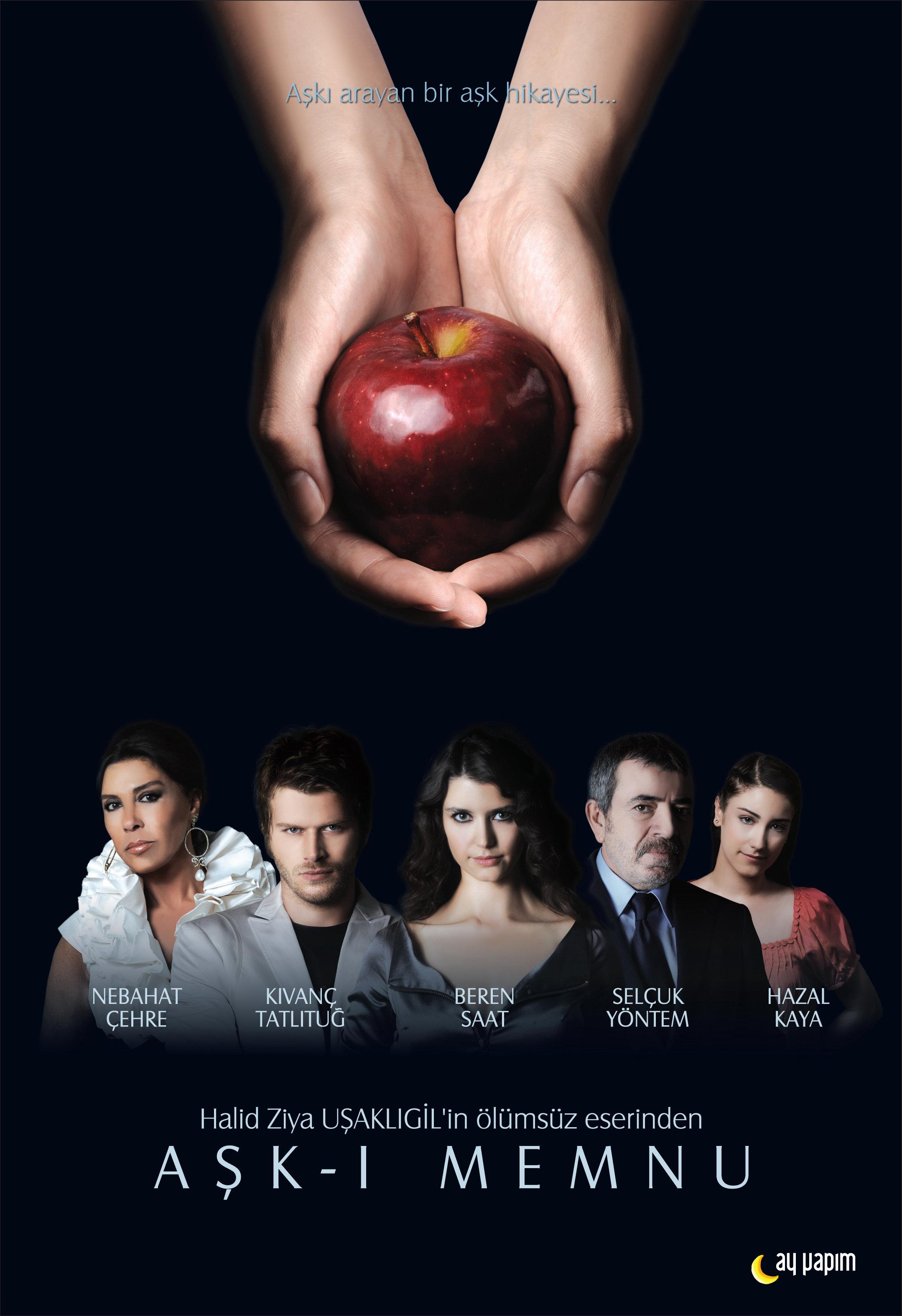 Forbidden Love [English] (2008)