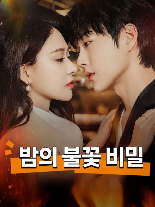 밤의 불꽃 비밀