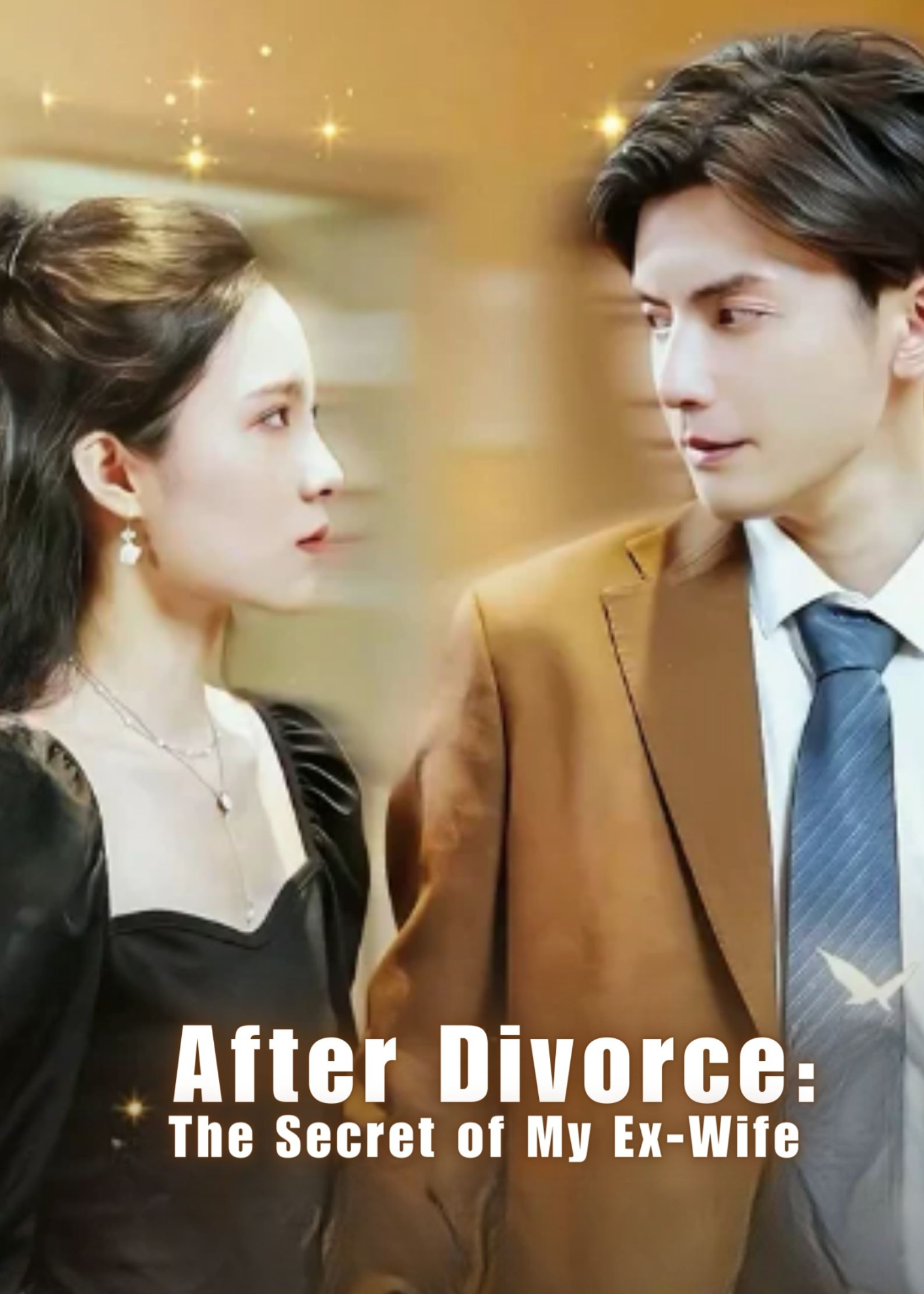 After Divorce: The Secret of My Ex-Wife