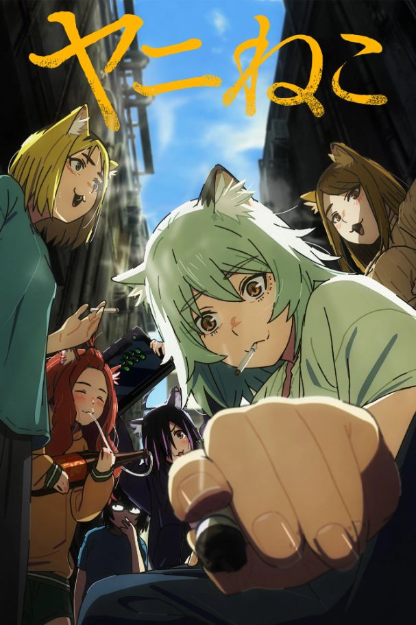 Chainsmoker Cat (2026)