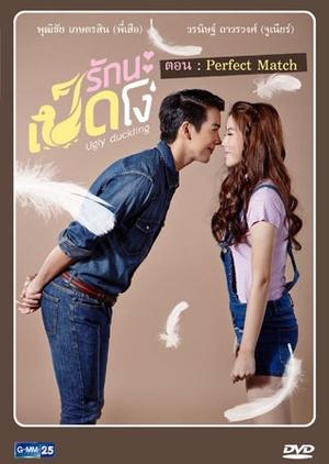 Ugly Duckling Series: Perfect Match (2015)