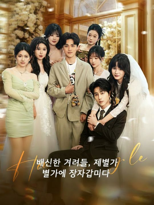 배신한 그녀들, 재벌가에 장가갑니다