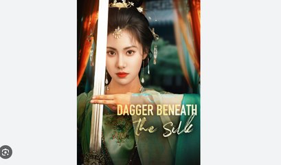shadow beneath the silk (2024)