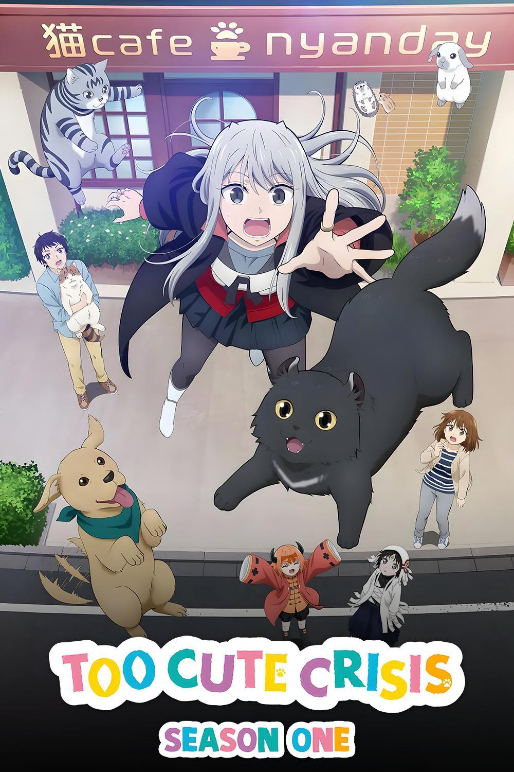 Too Cute Crisis (2023)