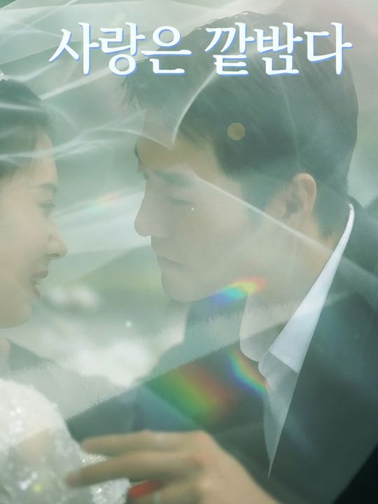 사랑은 끝났다