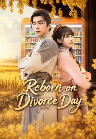Reborn on Divorce Day