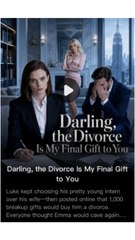 i wont divorce you darling (2024)