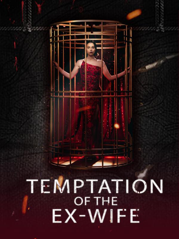Temptation of the Ex-Wife