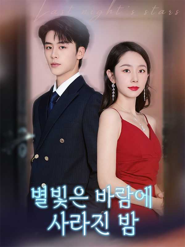 별빛은 바람에 사라진 밤
