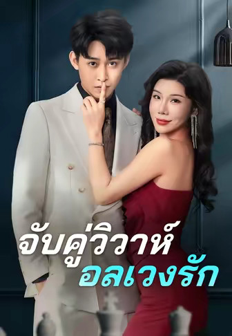 จับคู่วิวาห์อลเวงรัก