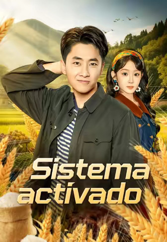Sistema activado