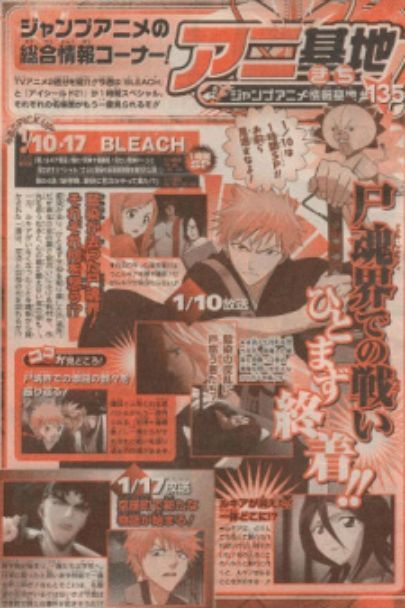 Bleach: Shuku! Rukia Dakkan! Kagayaku! Shinigami Juuban Shoubu! Mitai Shinigami Doon to Misemasu Special [Indonesian]