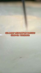 Identitas Sang Raja Perang (2024)
