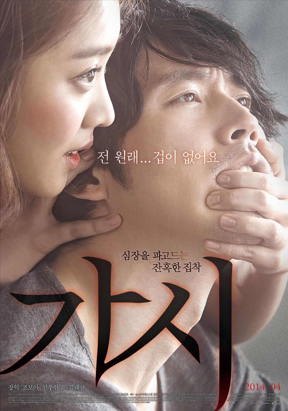 Gashi (2014)