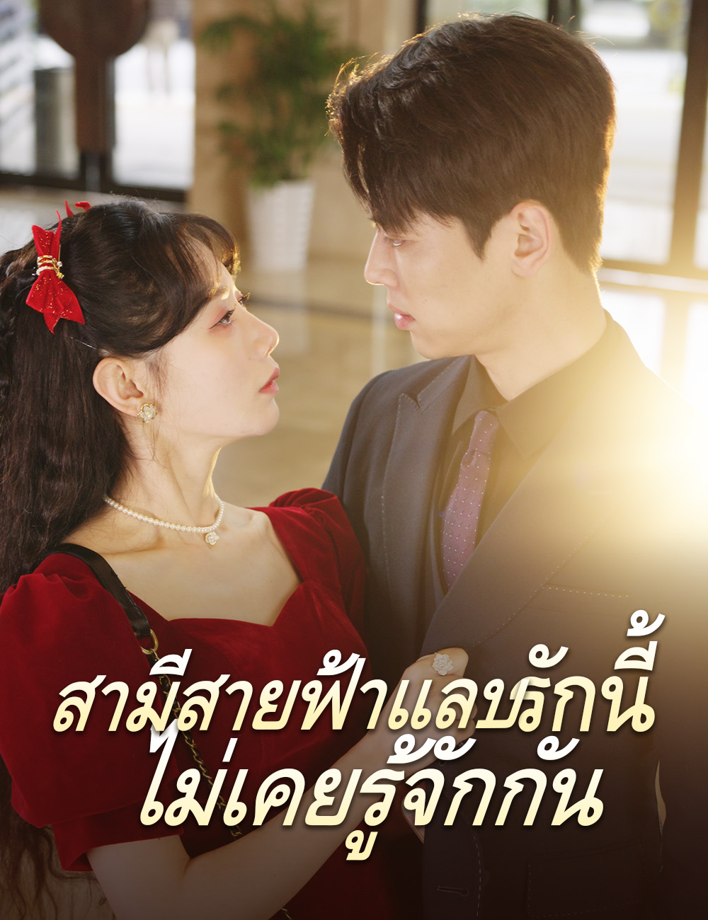 สามีสายฟ้าแลบ รักนี้ไม่เคยรู้จักกัน