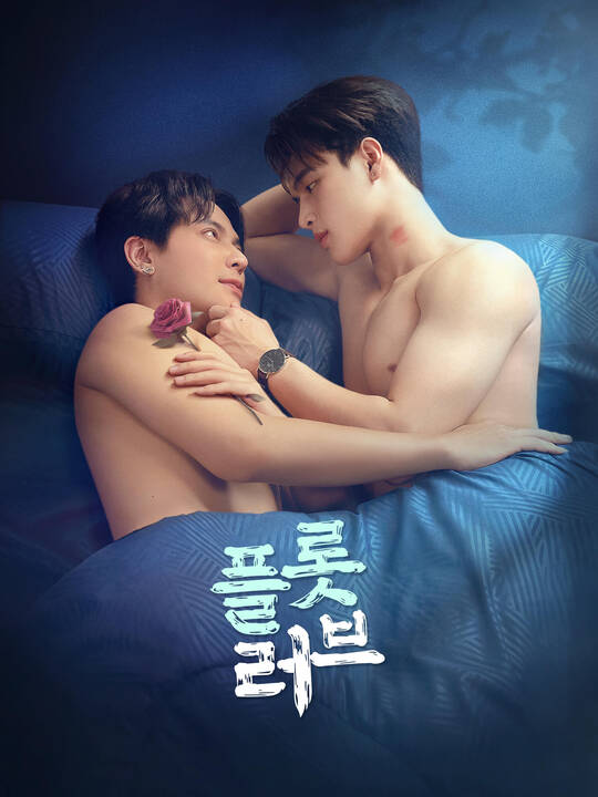 플롯 러브