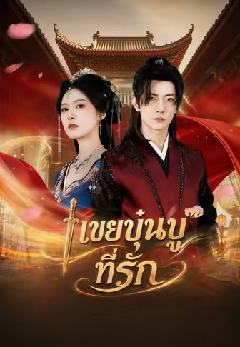 เขยบุ๋นบู๊ที่รัก