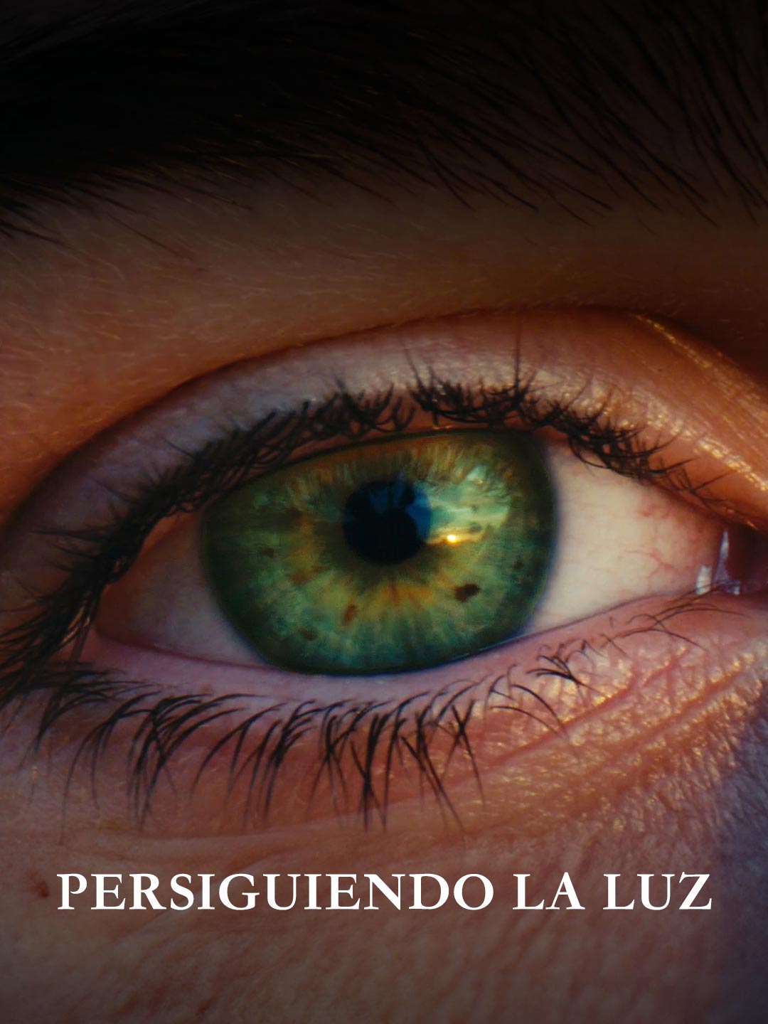 Persiguiendo la Luz
