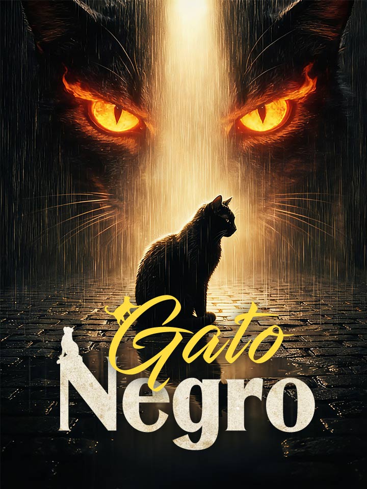 Gato Negro