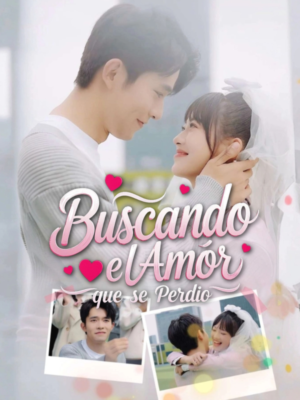 Buscando el Amor que se Perdió